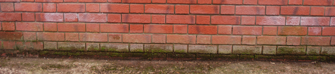 Mortar Stain Effects on Calcified Brickwork