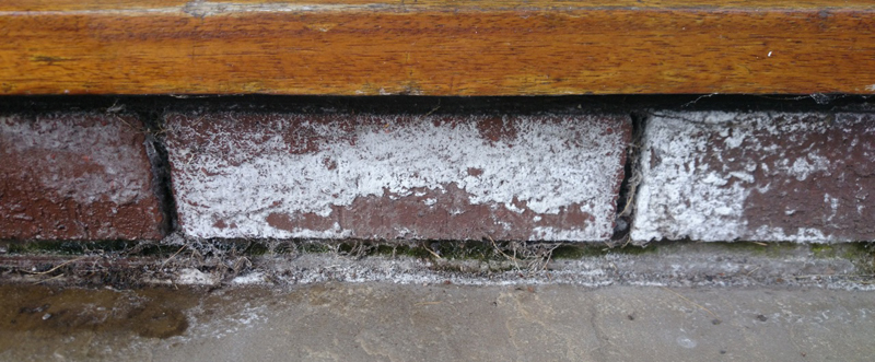 efflorescence remover before easy brick stains salt removal brickwork paving