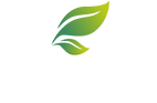 GIMA